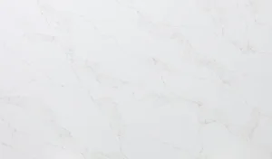 Кварцевый агломерат Canvas Gold EQCM 059, белый оттенок
