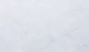 Кварцевый агломерат Onyx Bianco EQJO 069, белый оттенок