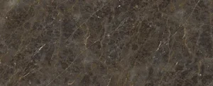 Керамический гранит Golden Black, черный цвет