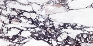 Принт керамогранита Calacatta Viola производителя Terzadimensione (Италия), мультиколор цвет