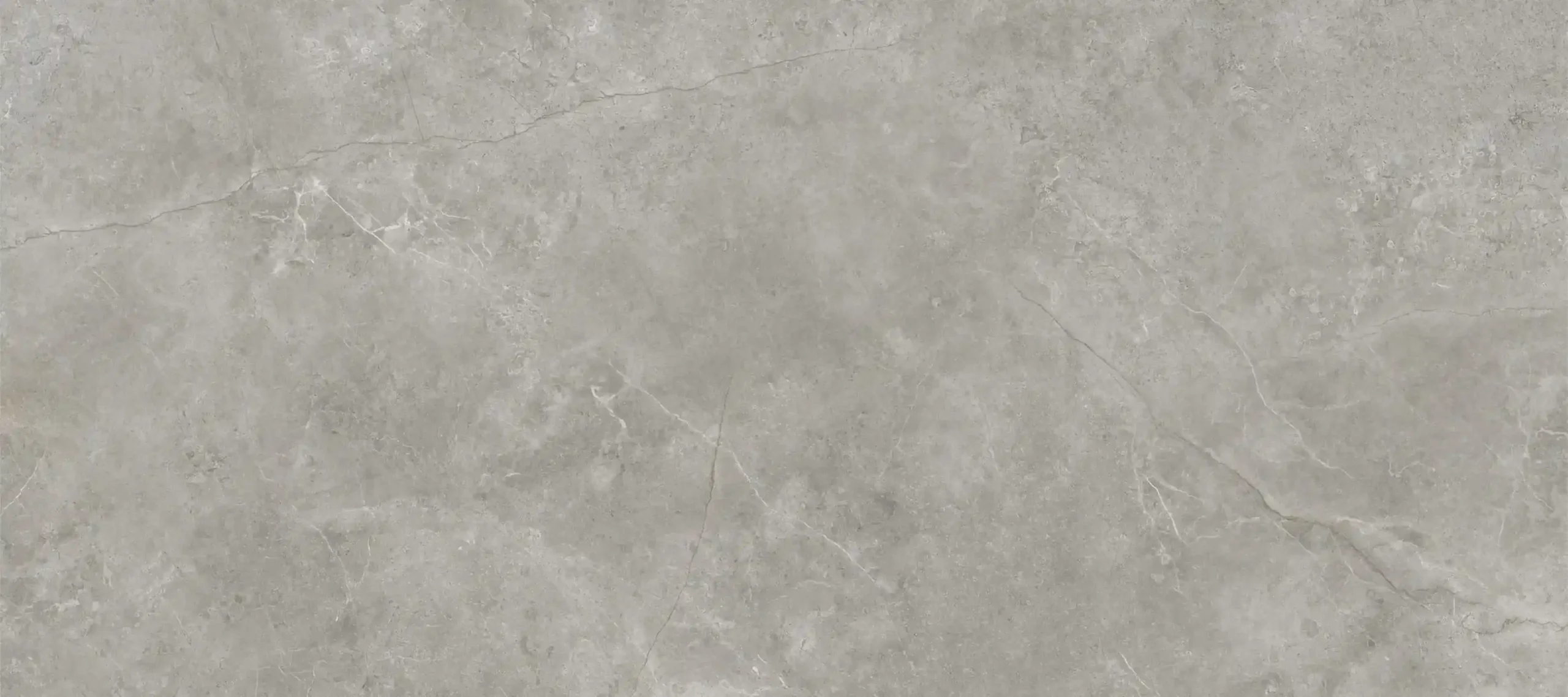 Принт керамогранита Fiori Di Bosco производителя Porcelanosa (Испания), серый цвет
