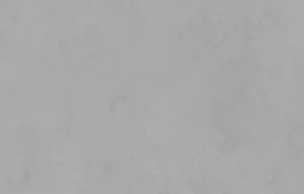 Принт керамогранита Stark Grey производителя Porcelanosa (Испания), серый цвет