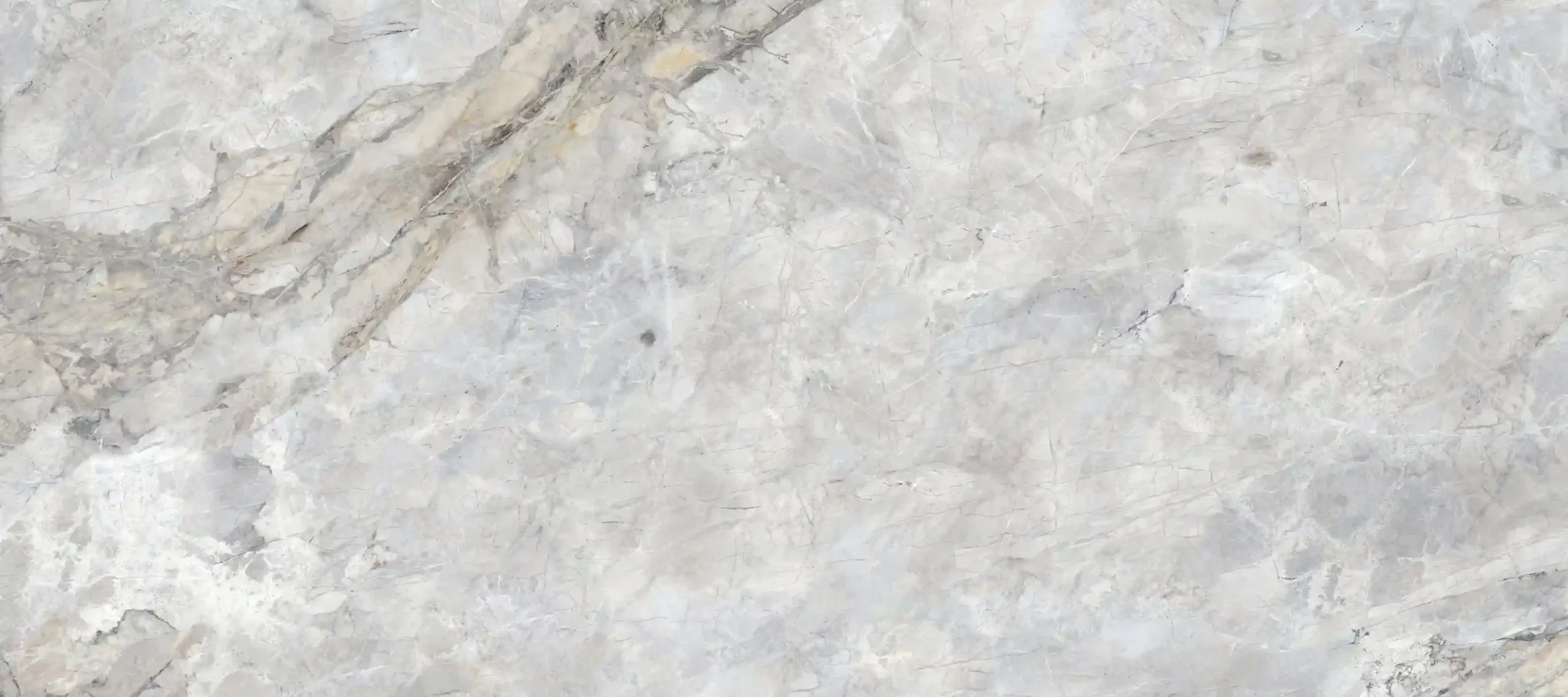 Принт керамогранита Vendome производителя Porcelanosa (Испания), серый цвет