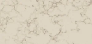 Принт керамогранита Taranto Bone производителя Porcelanosa (Испания), серый цвет
